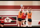 Zoey Leners set up a kill attempt against the Tigers. 