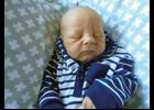 Bennett David Theiler